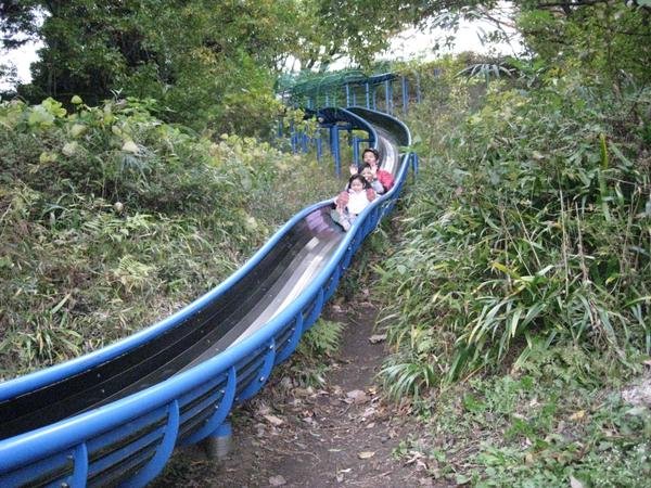 🏞️ 사계절의 숲 공원(시키노모리 코엔) 이미지 3